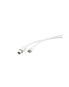 Kramer Electronics C-USB/CA-6