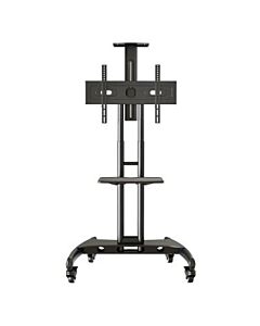 Tru Vue TRVT561