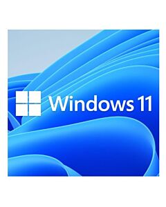Microsoft Windows 11 Professional 64-bit, OEM DVD, Single Copy