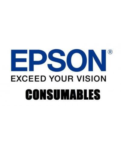 Epson B12B813581