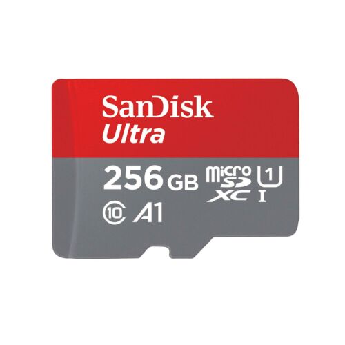 SanDisk 256GB microSD card for Chromebks